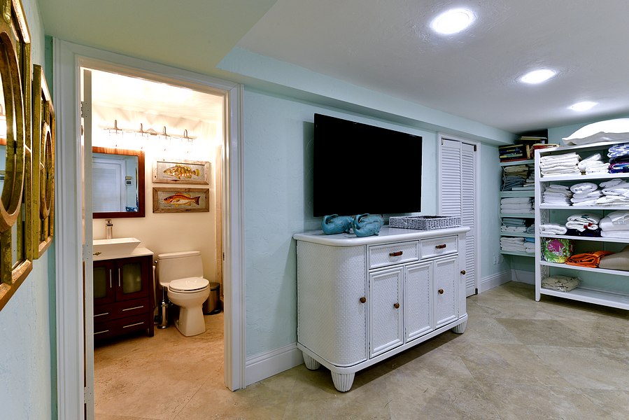 Lower Level Bathroom